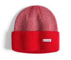 Autumn Reflect Beanie 2026 (Multiple Color Options)