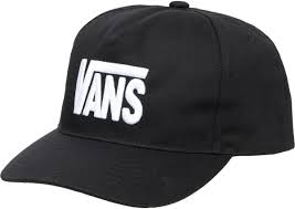 Vans Stretched Logo Hat 2027 (Multiple Color Options)