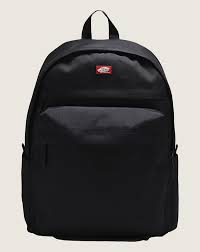 Vans Skate All Day Backpack 2026