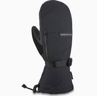 Dakine Leather Titan Gore-Tex Mitts 2026